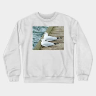 Your turn to test the water Crewneck Sweatshirt